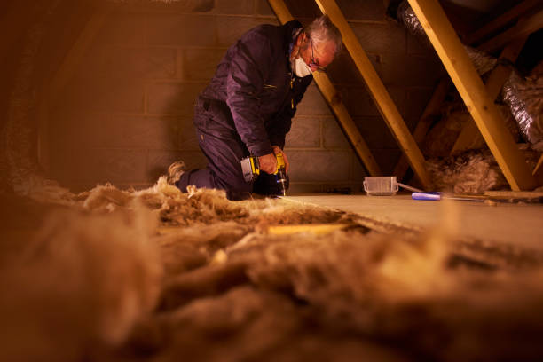 Best Eco-Friendly Insulation in Five Points, OH